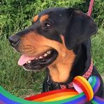 Carolyn Eady - @carolyn.eady.10 - Instagram