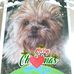 Carolyn Ebert - Facebook