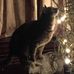Carolyn Eippert - Facebook