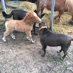Carolyn Edmonds - @cfe122957 - Instagram