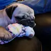 carolynegan633 - @carolynegan633 - TikTok