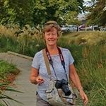 Carol Ehrlich - @carol.ehrlich - Instagram