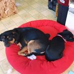 Carolyn Marie Beaulieu - @carolyn_fish1974 - Instagram