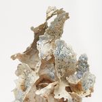 Carolyn Hansen - @carolyn_hansen_ceramics - Instagram