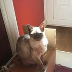 carolyn hardwick - @dylan54249 - Instagram