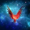 carolynhardwick - @carolynhardwick - TikTok