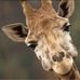 Carolyn Hebert - Facebook