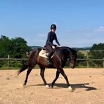 Caroline Helmuth - @caro_helmuth - Instagram