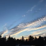 Carolyn Hoff - @cjofwisconsin - Instagram