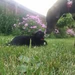 Carolyn Hoff - @hoffingtonpost_1 - Instagram
