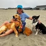 Carolyn Hoffman Strong - @carolynhoffmanstrong - Instagram