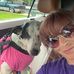 Carolyn Wills Jay - Facebook