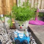 Carolyn Jayne - @carolynmorley1 - Instagram