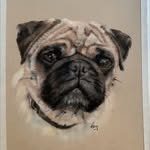 Carolyn Large - @foreverfriendspetportraits - Instagram
