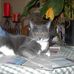 Carolyn LeMaster - Facebook