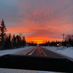 Carolyn Maynard - @carolynmaynard45 - Instagram