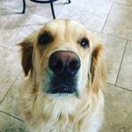Carolyn Maynard - @carolyn.mayn32106 - Instagram