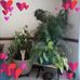 Carolyn Meeks - Facebook