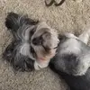 Carolyn Monk Weieric - @chumley621 - TikTok