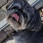 Carolyn Monk Weierich - @chumley621 - Instagram
