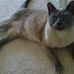 Carolyn Mulhern - Facebook