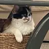 Carolyn_muse - @carolyn_muse - TikTok