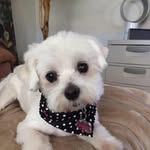 Carolyn Nance - @cjnance103 - Instagram