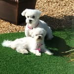 Carolyn Nance - @nance9791 - Instagram