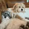 Carolyn Nicewarner - @carolyn.nicewarne - TikTok