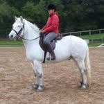 Carolyn Pearson - @carolyn.pearson.716 - Instagram