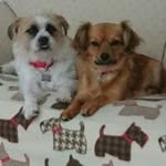 Carolyn Perry - @mail4cmp - Instagram