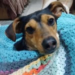 Carolyn Pitchers - @carolynpitchers - Instagram
