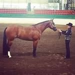 Carolyn Plummer - @cwplummer53 - Instagram