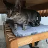 carolynpowers71 - @carolynpowers71 - TikTok
