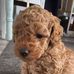 Carolyn Read - Facebook