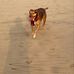 Carolyn Reck - Facebook
