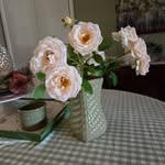 Carolyn Holden Reddig - @carolynreddig - Instagram