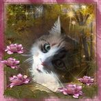 Carolyn Rix - Facebook