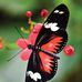 Carolyn Root - Facebook
