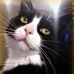 Carolyn Root - Facebook