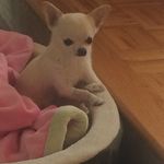 Carolyn Schultz - @carolynschultz348 - Instagram