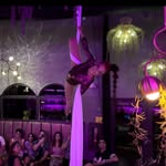 Carolyn Schultz - @carolyn_aerialist - Instagram