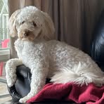 Carolyn Settle - Facebook