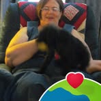 Carolyn Settle - Facebook