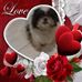 Carolyn Sinclair - Facebook