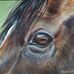 Carolyn Sinclair Artist - Facebook