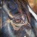 Carolyn Sinclair Artist - Facebook