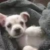carolyn singleton - @carolyn.singleton17 - TikTok