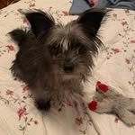 Carolyn Allen - @steadmancarolyn - Instagram