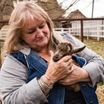 Carolyn Steadman Nordell - @carolynnordell - Instagram